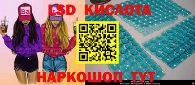 МДПВ Кингисепп