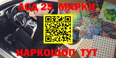 МДПВ Кингисепп