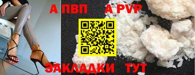 МДПВ Кингисепп