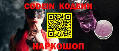 МДПВ Кингисепп