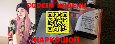 МДПВ Кингисепп
