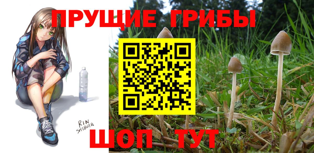 Псилоцибиновые грибы Magic Shrooms Геленджик