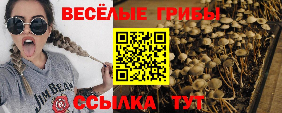 Галлюциногенные грибы мухоморы  Псилоцибиновые грибы мицелий  Вход с VPN  Геленджик 